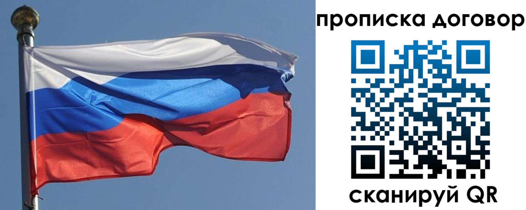 где прописаться в Нелидово
